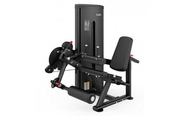 Сгибание\разгибание ног Smith Fitness DA037 600_380