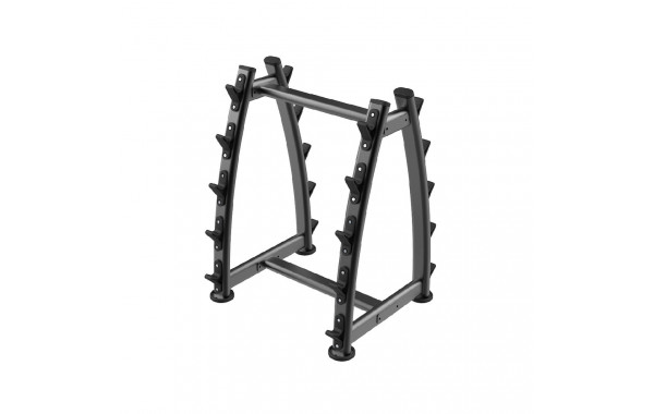 Стойка для штанг Live Pro 10 Barbell Rack LP8853 600_380