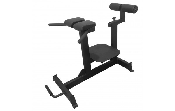 Гиперэкстензия горизонтальная Bronze Gym Partner AL-920 600_380