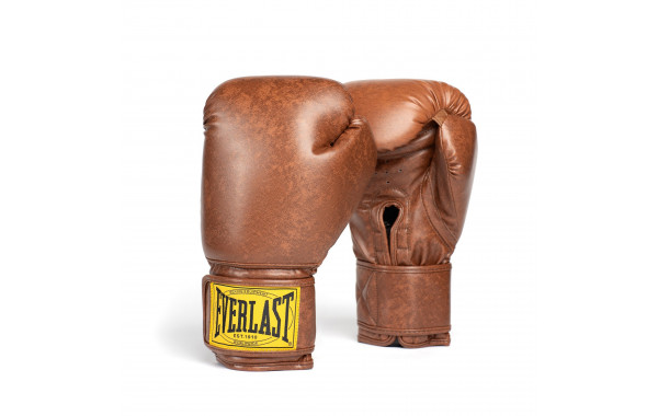 Перчатки тренировочные Everlast 1910 Classic PU 12oz P00003344 коричневый 600_380