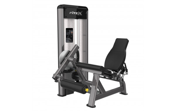 Разгибатель бедра Fitex Pro FTX-61A24 600_380