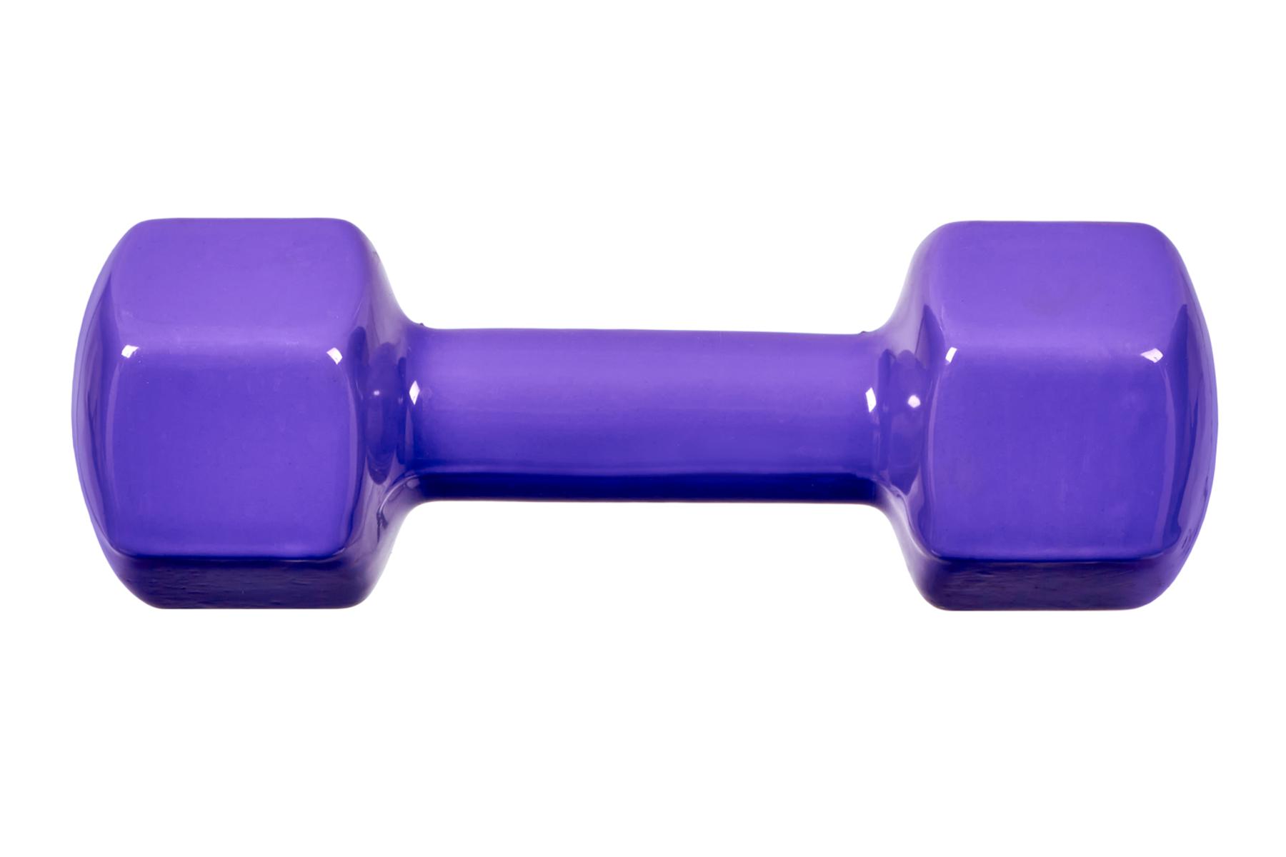 Гантель обрезиненная 4кг Bradex SF 0537 фиолетовый 1800_1200