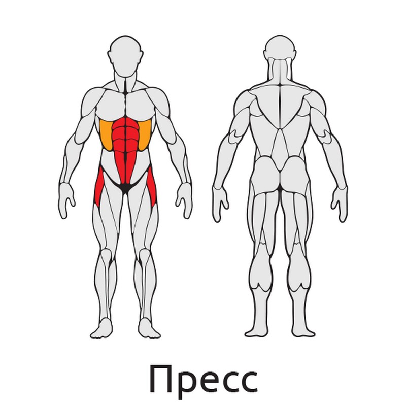 Турник-пресс-брусья Iron King S419 800_800