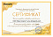 Сертификат на товар Мат №7 200х100х10см Kampfer Black, винилискожа, черно-желтый (складной)